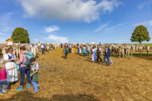 Appenzell, Appenzell Ausserrohden, Schweiz, Schwellbrunn, Sennen, Suisse, Switzerland, Tracht, Viehschau, tradition