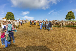 Appenzell, Appenzell Ausserrohden, Schweiz, Schwellbrunn, Sennen, Suisse, Switzerland, Tracht, Viehschau, tradition