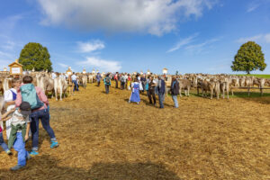 Appenzell, Appenzell Ausserrohden, Schweiz, Schwellbrunn, Sennen, Suisse, Switzerland, Tracht, Viehschau, tradition
