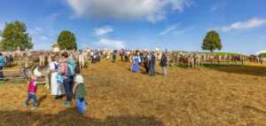 Appenzell, Appenzell Ausserrohden, Schweiz, Schwellbrunn, Sennen, Suisse, Switzerland, Tracht, Viehschau, tradition
