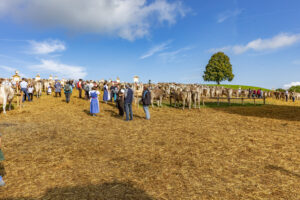 Appenzell, Appenzell Ausserrohden, Schweiz, Schwellbrunn, Sennen, Suisse, Switzerland, Tracht, Viehschau, tradition