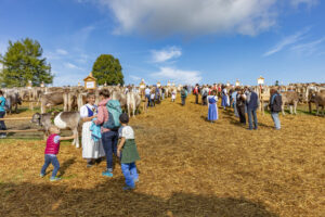 Appenzell, Appenzell Ausserrohden, Schweiz, Schwellbrunn, Sennen, Suisse, Switzerland, Tracht, Viehschau, tradition