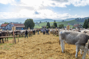 Appenzell, Appenzell Ausserrohden, Schweiz, Schwellbrunn, Sennen, Suisse, Switzerland, Tracht, Viehschau, tradition