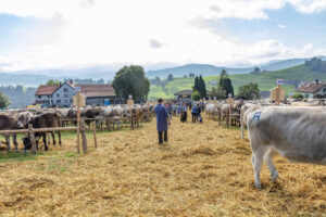 Appenzell, Appenzell Ausserrohden, Schweiz, Schwellbrunn, Sennen, Suisse, Switzerland, Tracht, Viehschau, tradition