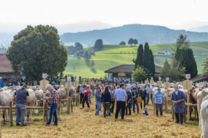 Appenzell, Appenzell Ausserrohden, Schweiz, Schwellbrunn, Sennen, Suisse, Switzerland, Tracht, Viehschau, tradition