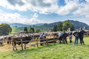 Appenzell, Appenzell Ausserrohden, Schweiz, Schwellbrunn, Sennen, Suisse, Switzerland, Tracht, Viehschau, tradition