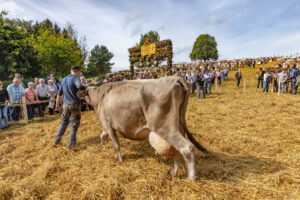 Appenzell, Appenzell Ausserrohden, Schweiz, Schwellbrunn, Sennen, Suisse, Switzerland, Tracht, Viehschau, tradition