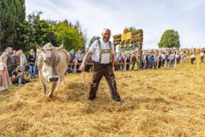 Appenzell, Appenzell Ausserrohden, Schweiz, Schwellbrunn, Sennen, Suisse, Switzerland, Tracht, Viehschau, tradition