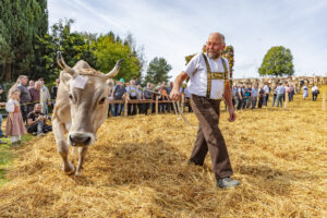 Appenzell, Appenzell Ausserrohden, Schweiz, Schwellbrunn, Sennen, Suisse, Switzerland, Tracht, Viehschau, tradition