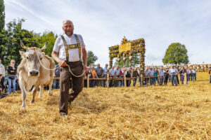 Appenzell, Appenzell Ausserrohden, Schweiz, Schwellbrunn, Sennen, Suisse, Switzerland, Tracht, Viehschau, tradition