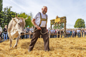 Appenzell, Appenzell Ausserrohden, Schweiz, Schwellbrunn, Sennen, Suisse, Switzerland, Tracht, Viehschau, tradition