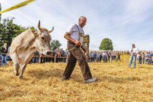 Appenzell, Appenzell Ausserrohden, Schweiz, Schwellbrunn, Sennen, Suisse, Switzerland, Tracht, Viehschau, tradition