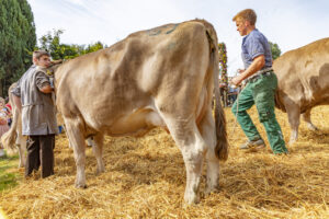 Appenzell, Appenzell Ausserrohden, Schweiz, Schwellbrunn, Sennen, Suisse, Switzerland, Tracht, Viehschau, tradition