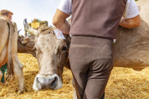 Appenzell, Appenzell Ausserrohden, Schweiz, Schwellbrunn, Sennen, Suisse, Switzerland, Tracht, Viehschau, tradition