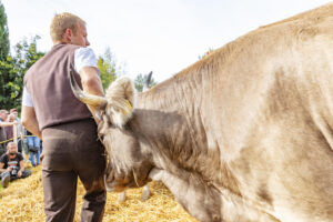 Appenzell, Appenzell Ausserrohden, Schweiz, Schwellbrunn, Sennen, Suisse, Switzerland, Tracht, Viehschau, tradition