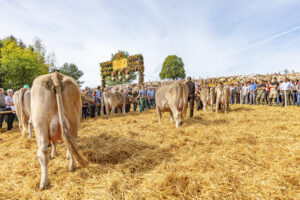 Appenzell, Appenzell Ausserrohden, Schweiz, Schwellbrunn, Sennen, Suisse, Switzerland, Tracht, Viehschau, tradition