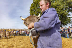 Appenzell, Appenzell Ausserrohden, Schweiz, Schwellbrunn, Sennen, Suisse, Switzerland, Tracht, Viehschau, tradition