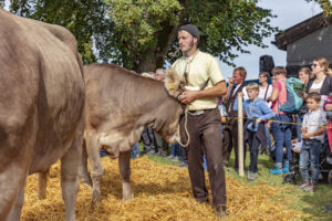 Appenzell, Appenzell Ausserrohden, Schweiz, Schwellbrunn, Sennen, Suisse, Switzerland, Tracht, Viehschau, tradition