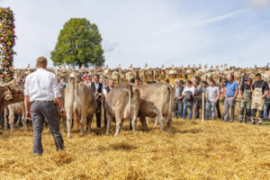 Appenzell, Appenzell Ausserrohden, Schweiz, Schwellbrunn, Sennen, Suisse, Switzerland, Tracht, Viehschau, tradition