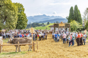 Appenzell, Appenzell Ausserrohden, Schweiz, Schwellbrunn, Sennen, Suisse, Switzerland, Tracht, Viehschau, tradition