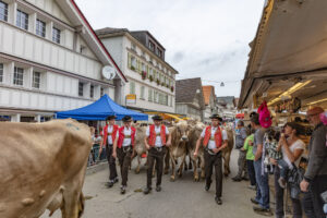 Appenzell, Appenzell Ausserrohden, Schweiz, Schwellbrunn, Sennen, Suisse, Switzerland, Tracht, Viehschau, tradition