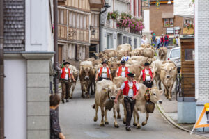 Appenzell, Appenzell Ausserrohden, Schweiz, Schwellbrunn, Sennen, Suisse, Switzerland, Tracht, Viehschau, tradition