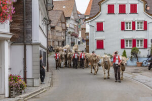 Appenzell, Appenzell Ausserrohden, Schweiz, Schwellbrunn, Sennen, Suisse, Switzerland, Tracht, Viehschau, tradition