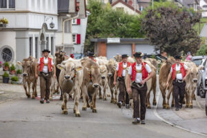 Appenzell, Appenzell Ausserrohden, Schweiz, Schwellbrunn, Sennen, Suisse, Switzerland, Tracht, Viehschau, tradition
