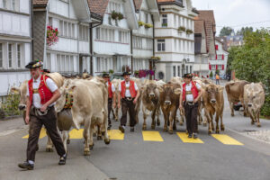 Appenzell, Appenzell Ausserrohden, Schweiz, Schwellbrunn, Sennen, Suisse, Switzerland, Tracht, Viehschau, tradition