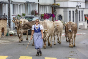 Appenzell, Appenzell Ausserrohden, Schweiz, Schwellbrunn, Sennen, Suisse, Switzerland, Tracht, Viehschau, tradition