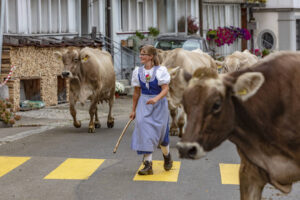 Appenzell, Appenzell Ausserrohden, Schweiz, Schwellbrunn, Sennen, Suisse, Switzerland, Tracht, Viehschau, tradition
