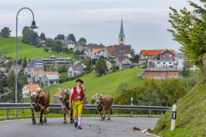 Appenzell, Appenzell Ausserrohden, Schweiz, Schwellbrunn, Sennen, Suisse, Switzerland, Tracht, Viehschau, tradition