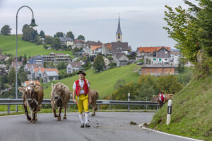 Appenzell, Appenzell Ausserrohden, Schweiz, Schwellbrunn, Sennen, Suisse, Switzerland, Tracht, Viehschau, tradition