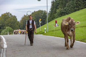 Appenzell, Appenzell Ausserrohden, Schweiz, Schwellbrunn, Sennen, Suisse, Switzerland, Tracht, Viehschau, tradition