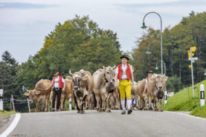 Appenzell, Appenzell Ausserrohden, Schweiz, Schwellbrunn, Sennen, Suisse, Switzerland, Tracht, Viehschau, tradition