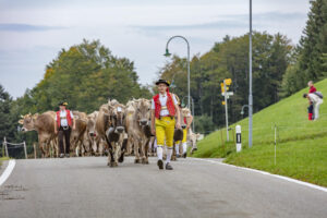 Appenzell, Appenzell Ausserrohden, Schweiz, Schwellbrunn, Sennen, Suisse, Switzerland, Tracht, Viehschau, tradition