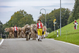 Appenzell, Appenzell Ausserrohden, Schweiz, Schwellbrunn, Sennen, Suisse, Switzerland, Tracht, Viehschau, tradition
