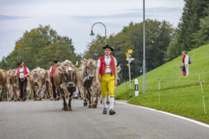 Appenzell, Appenzell Ausserrohden, Schweiz, Schwellbrunn, Sennen, Suisse, Switzerland, Tracht, Viehschau, tradition