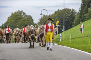 Appenzell, Appenzell Ausserrohden, Schweiz, Schwellbrunn, Sennen, Suisse, Switzerland, Tracht, Viehschau, tradition