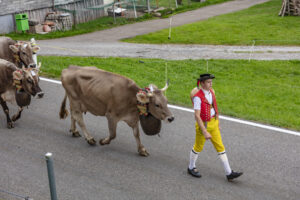Appenzell, Appenzell Ausserrohden, Schweiz, Schwellbrunn, Sennen, Suisse, Switzerland, Tracht, Viehschau, tradition