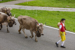 Appenzell, Appenzell Ausserrohden, Schweiz, Schwellbrunn, Sennen, Suisse, Switzerland, Tracht, Viehschau, tradition