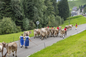 Appenzell, Appenzell Ausserrohden, Schweiz, Schwellbrunn, Sennen, Suisse, Switzerland, Tracht, Viehschau, tradition