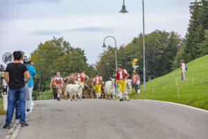 Appenzell, Appenzell Ausserrohden, Schweiz, Schwellbrunn, Sennen, Suisse, Switzerland, Tracht, Viehschau, tradition