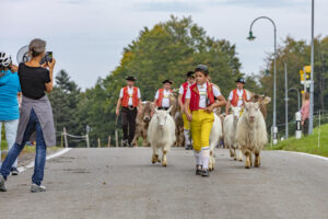 Appenzell, Appenzell Ausserrohden, Schweiz, Schwellbrunn, Sennen, Suisse, Switzerland, Tracht, Viehschau, tradition