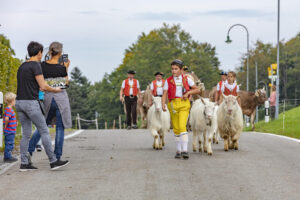 Appenzell, Appenzell Ausserrohden, Schweiz, Schwellbrunn, Sennen, Suisse, Switzerland, Tracht, Viehschau, tradition