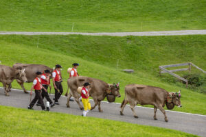 Appenzell, Appenzell Ausserrohden, Schweiz, Schwellbrunn, Sennen, Suisse, Switzerland, Tracht, Viehschau, tradition