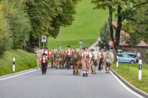 Appenzell, Appenzell Ausserrohden, Schweiz, Schwellbrunn, Sennen, Suisse, Switzerland, Tracht, Viehschau, tradition
