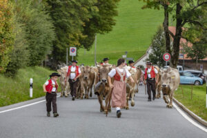 Appenzell, Appenzell Ausserrohden, Schweiz, Schwellbrunn, Sennen, Suisse, Switzerland, Tracht, Viehschau, tradition