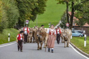 Appenzell, Appenzell Ausserrohden, Schweiz, Schwellbrunn, Sennen, Suisse, Switzerland, Tracht, Viehschau, tradition
