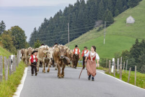 Appenzell, Appenzell Ausserrohden, Schweiz, Schwellbrunn, Sennen, Suisse, Switzerland, Tracht, Viehschau, tradition